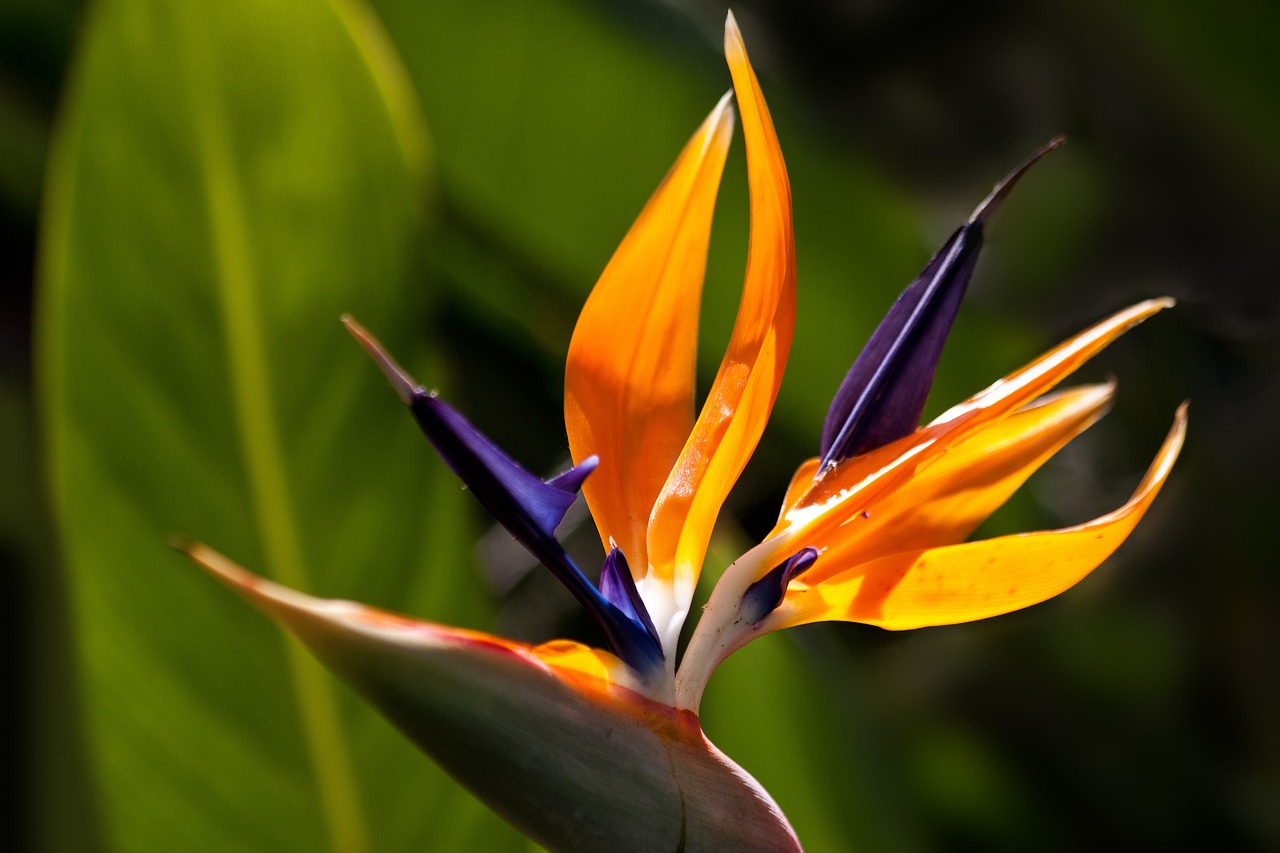 How to Create a Garden That Grows Year-Round